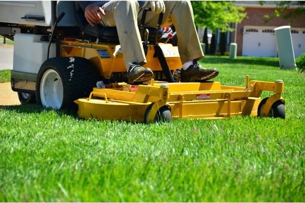 Lawn and Garden Care Tips