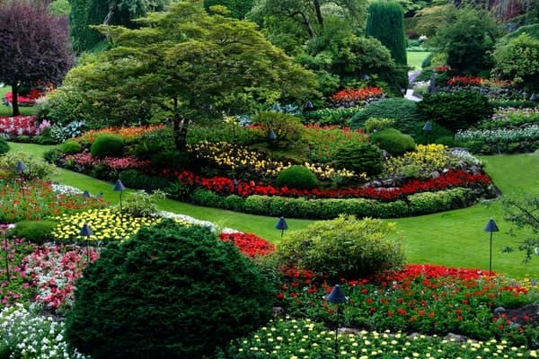 Garden Care